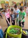 IMG_20250529_212731 (1)