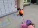 IMG_20250603_122048