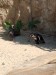 IMG_20250618_215541 (1)
