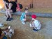 IMG_20250618_215544
