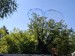 IMG_20251006_123801