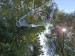 IMG_20251006_123803