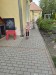 Messenger_creation_D2B8E033-373A-4113-BB57-9E1A1579053A